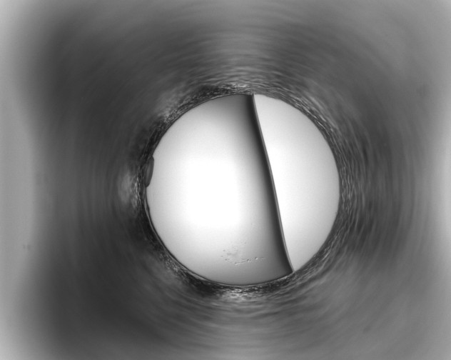 X0000096460568200801241120