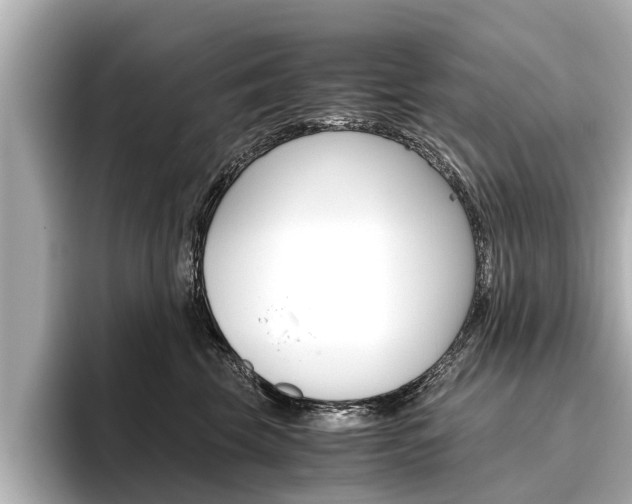 X0000096460569200801241120