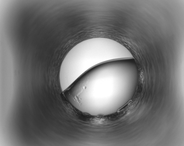 X0000096460570200801241120