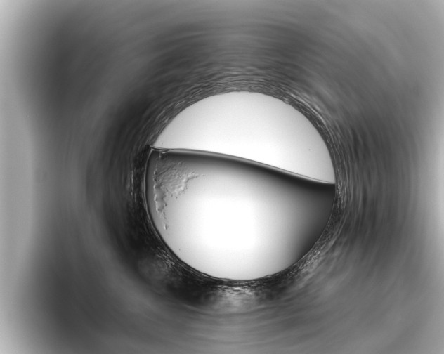 X0000096460572200801241120