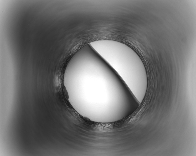 X0000096460576200801241120