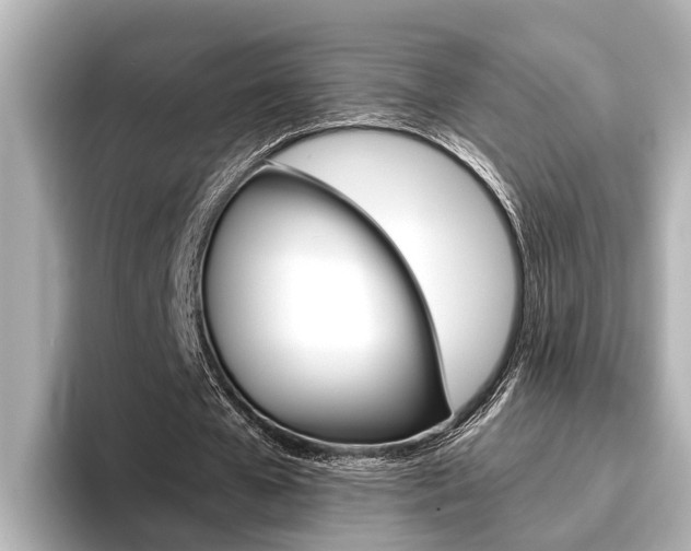 X0000096460577200801241120