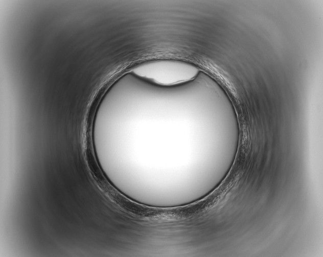 X0000096460578200801241120