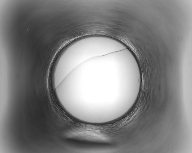 X0000096460579200801241120
