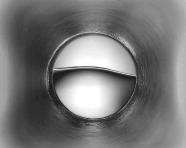 X0000096460580200801241120