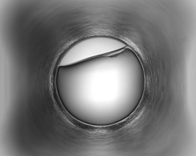 X0000096460581200801241120