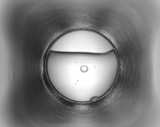 X0000096460582200801241120