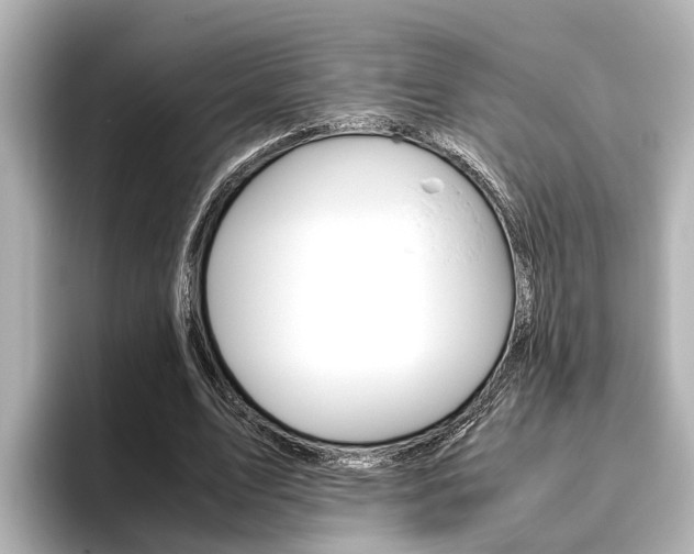 X0000096460583200801241120
