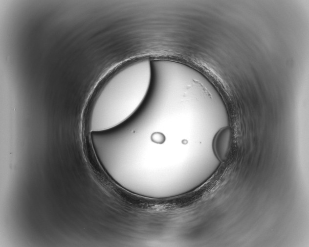 X0000096460584200801241120