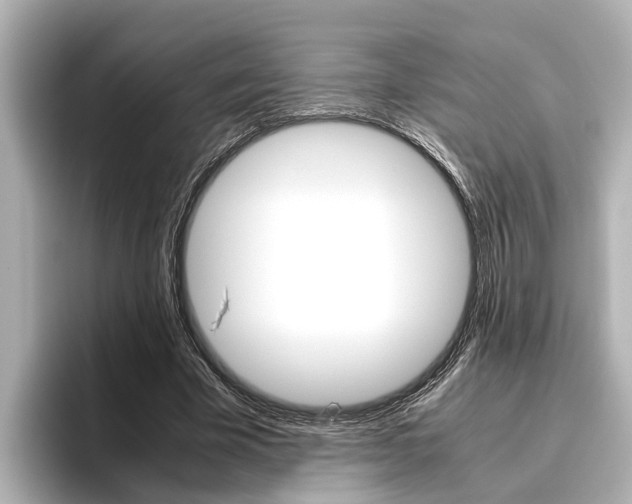 X0000096460585200801241120