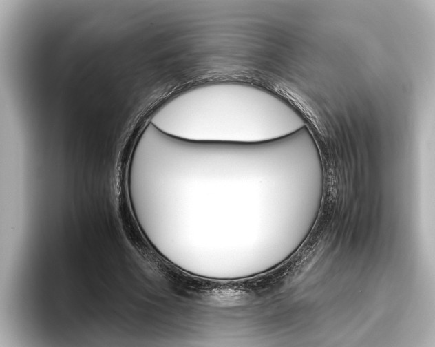 X0000096460586200801241120