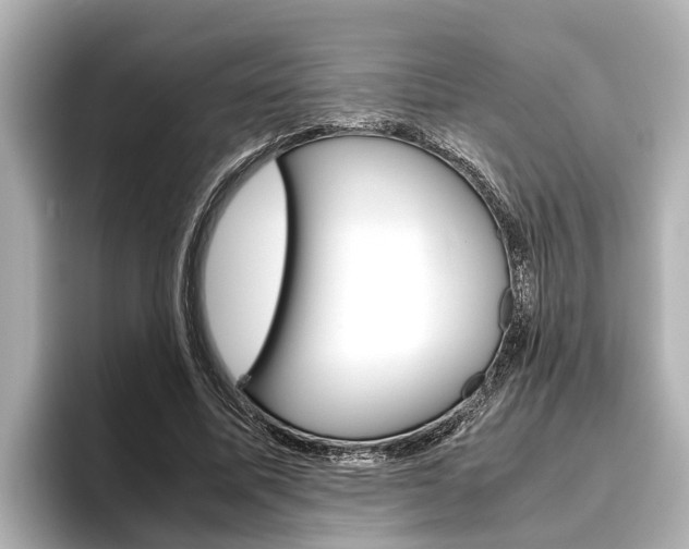 X0000096460587200801241120