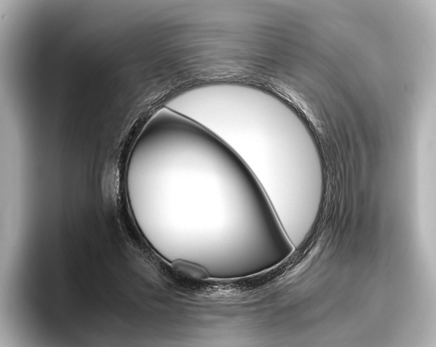 X0000096460589200801241120