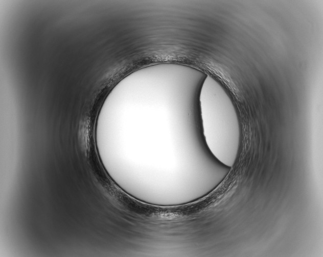 X0000096460590200801241120