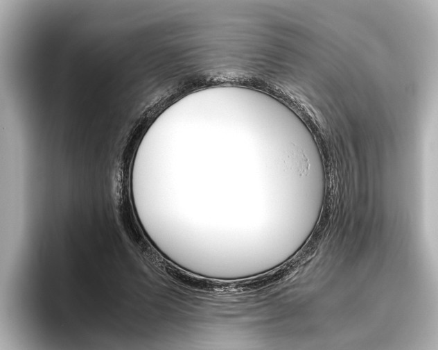X0000096460591200801241120