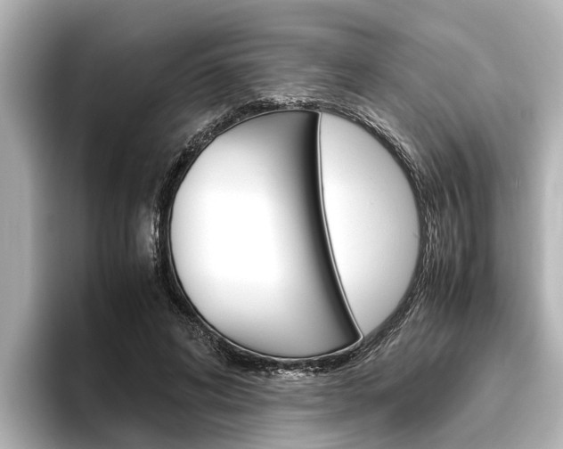 X0000096460592200801241119