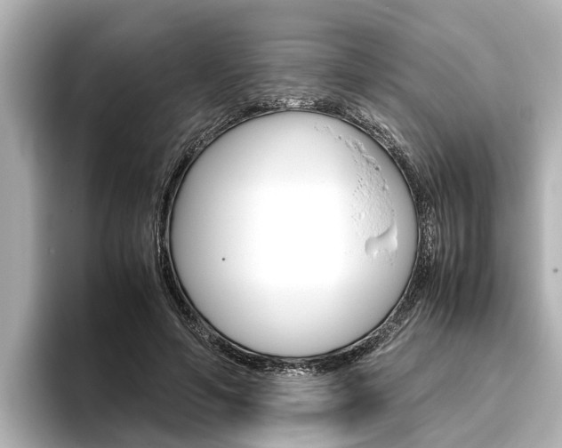 X0000096460594200801241119