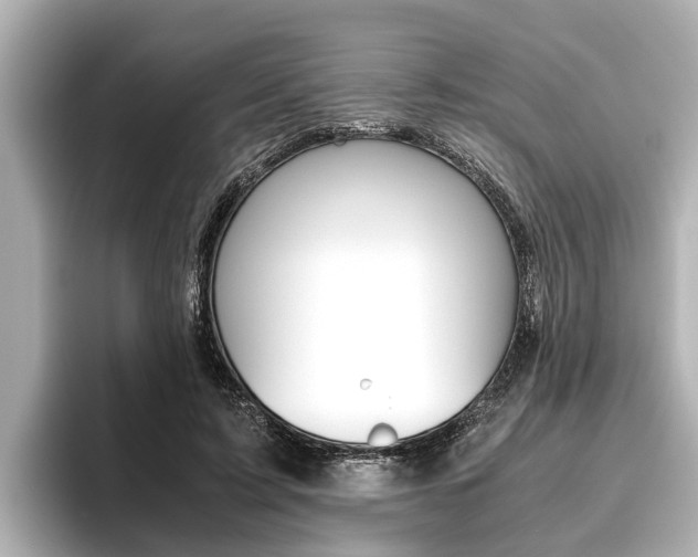 X0000096460595200801241119