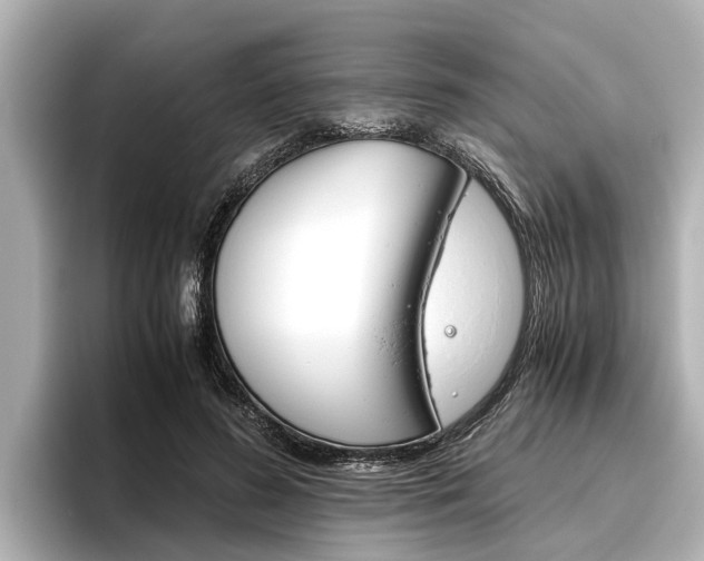 X0000096460596200801241119