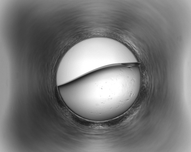 X0000096460597200801241119