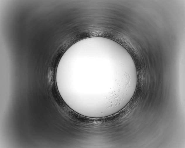 X0000096460598200801241119