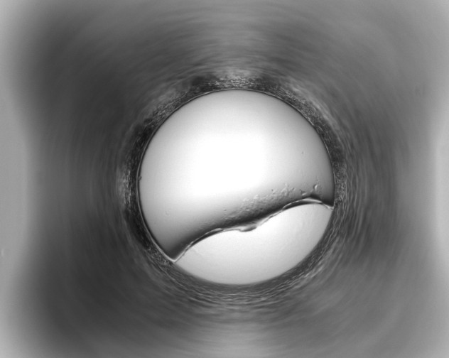 X0000096460599200801241119
