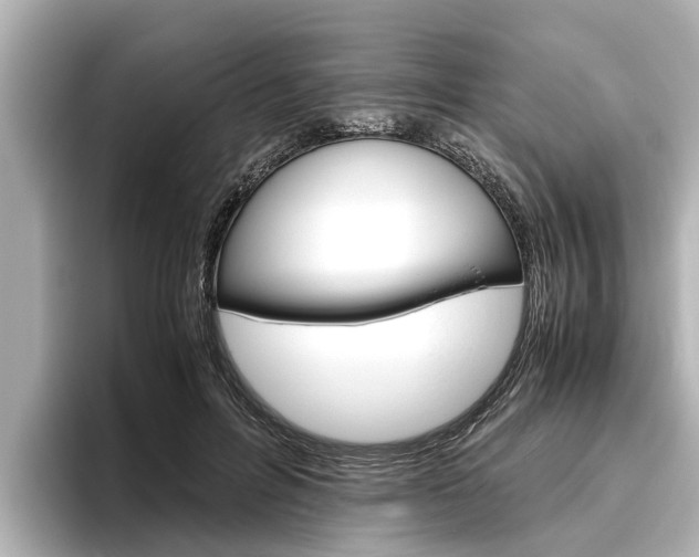 X0000096460600200801241119