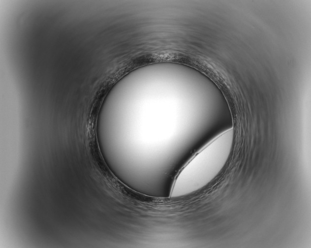 X0000096460601200801241119