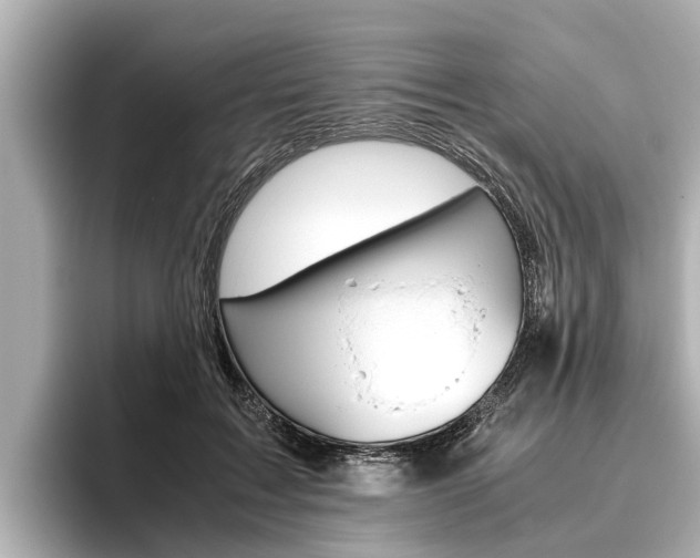 X0000096460603200801241119