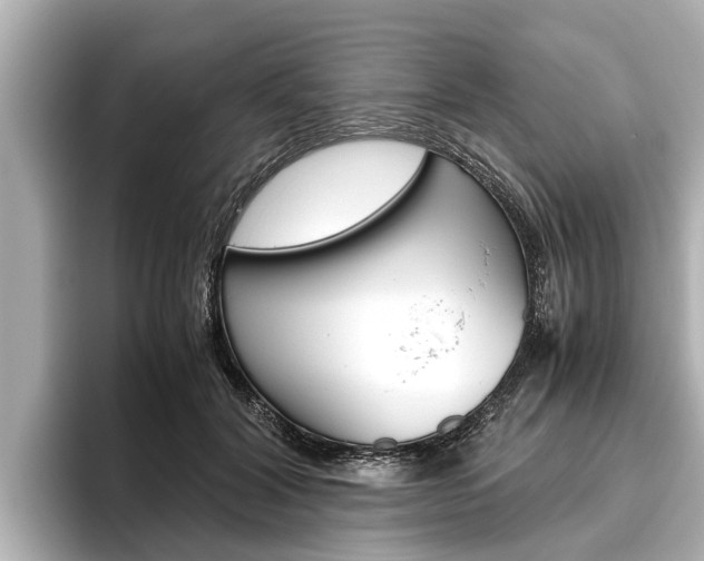X0000096460604200801241119