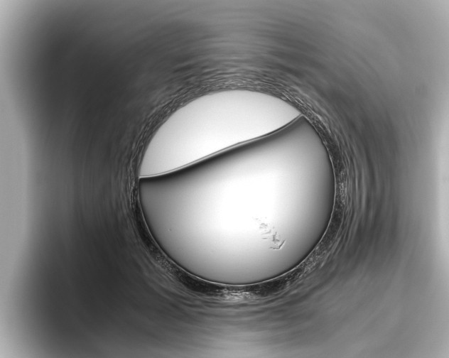 X0000096460605200801241119