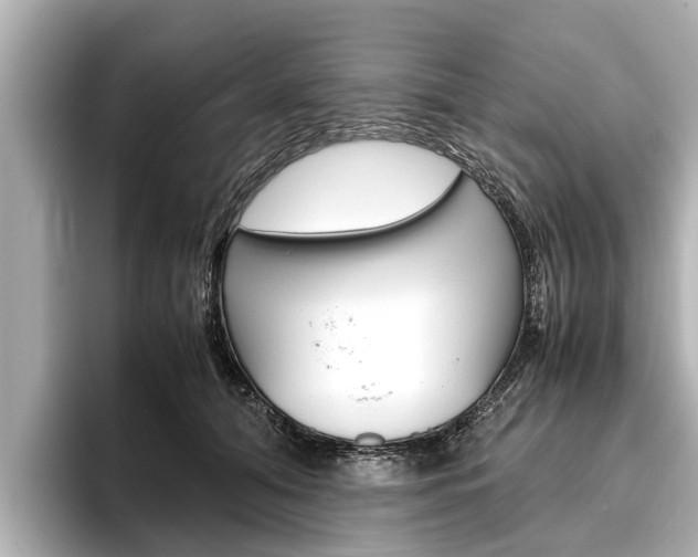 X0000096460608200801241119