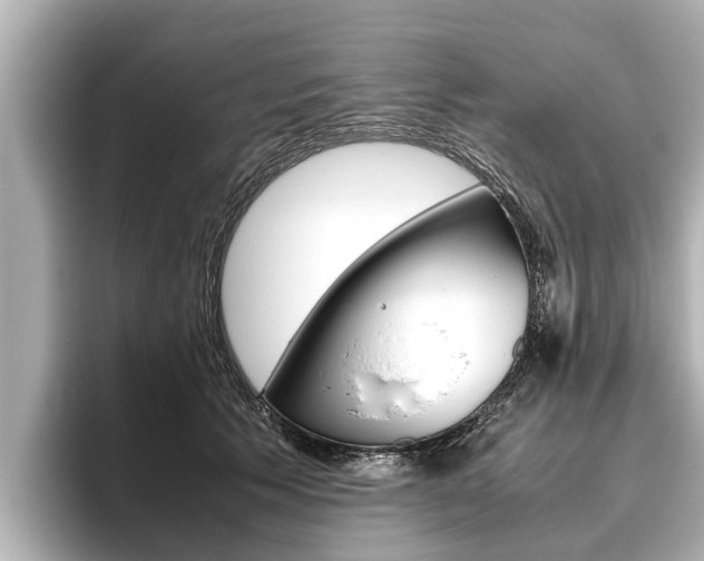 X0000096460609200801241119