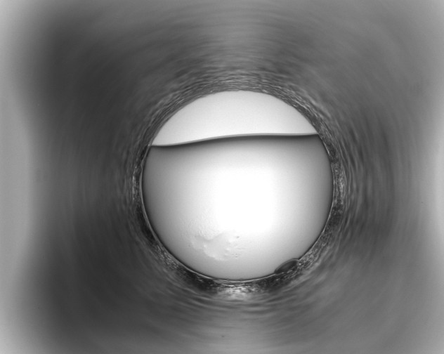 X0000096460611200801241119