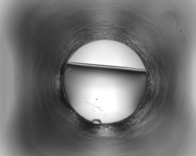 X0000096460612200801241119