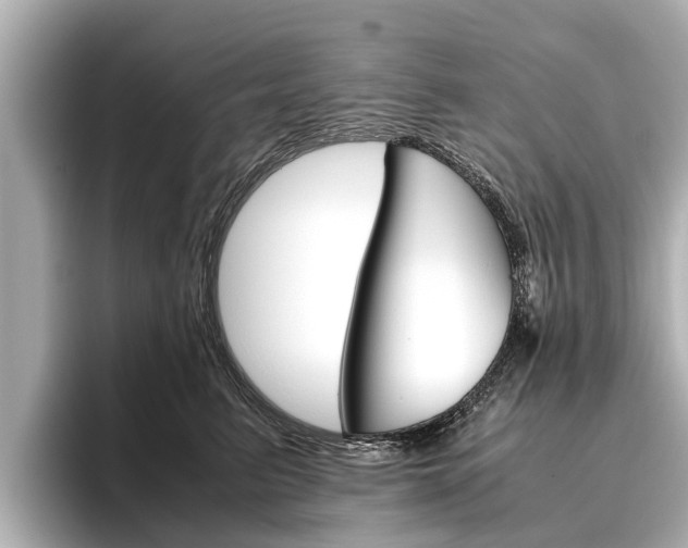 X0000096460615200801241119