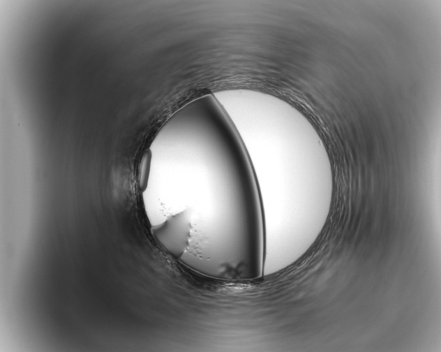 X0000096460617200801241119