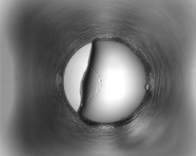 X0000096460619200801241119