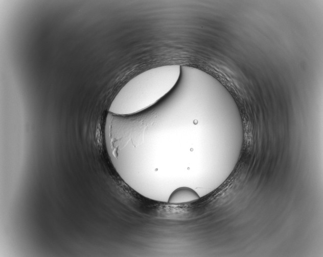 X0000096460622200801241119