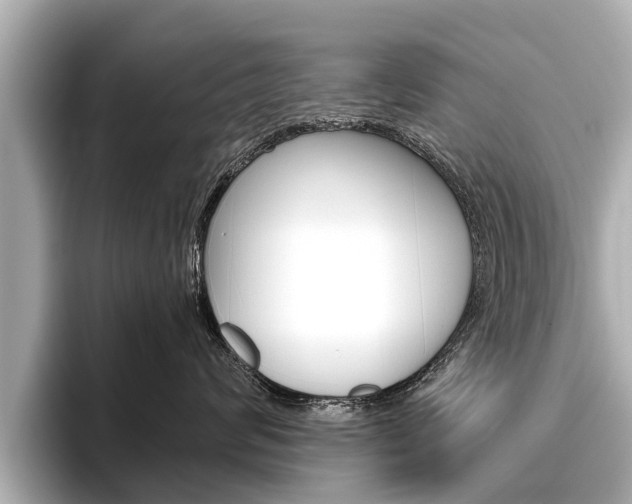 X0000096460624200801241119