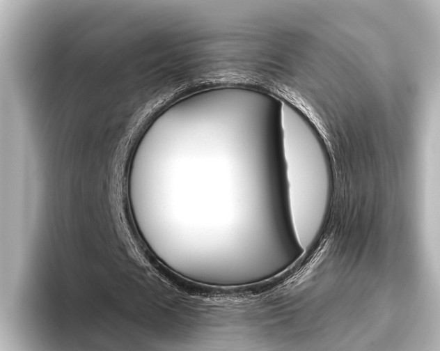 X0000096460625200801241118