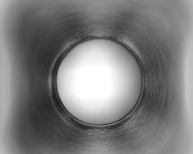 X0000096460626200801241118