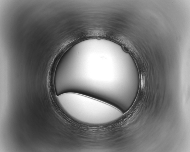 X0000096460627200801241118