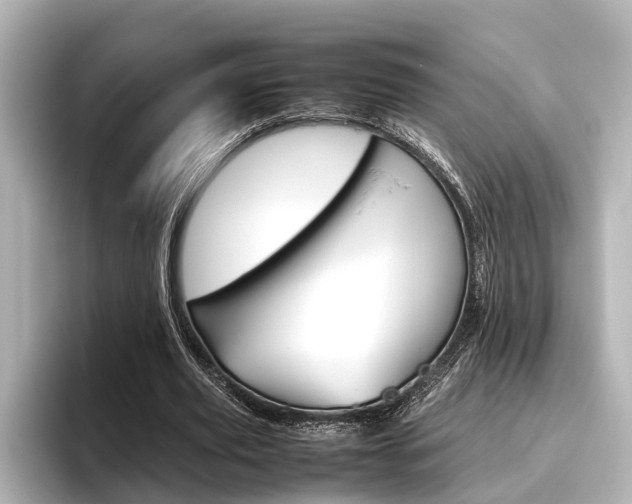 X0000096460629200801241119