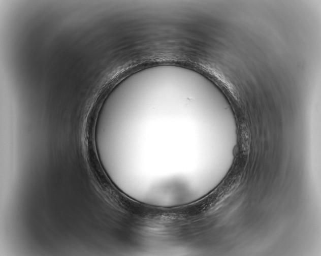 X0000096460631200801241119