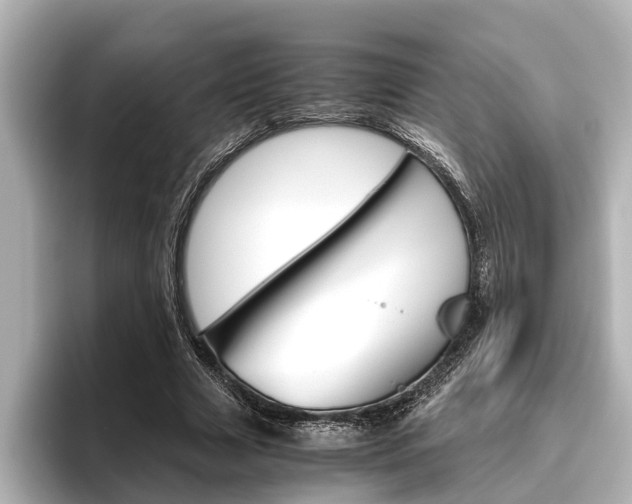 X0000096460633200801241119