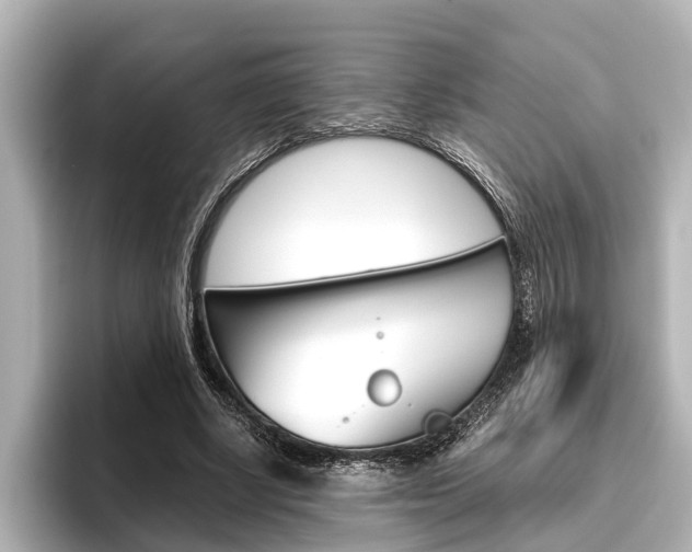 X0000096460634200801241119
