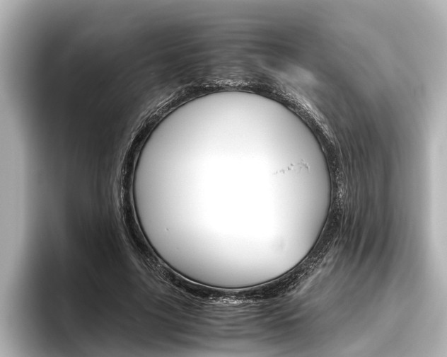 X0000096460635200801241119