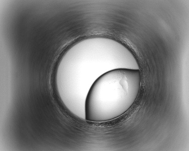 X0000096460640200801241119