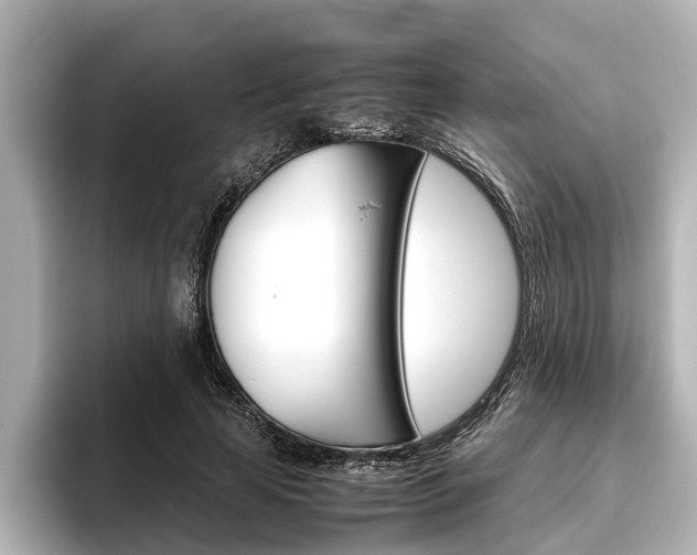 X0000096460641200801241119